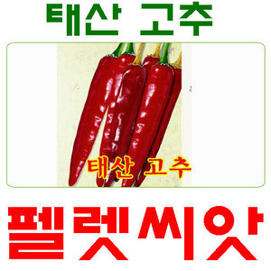 태산 고추 펠렛씨앗 20립 (주말농장/텃밭)